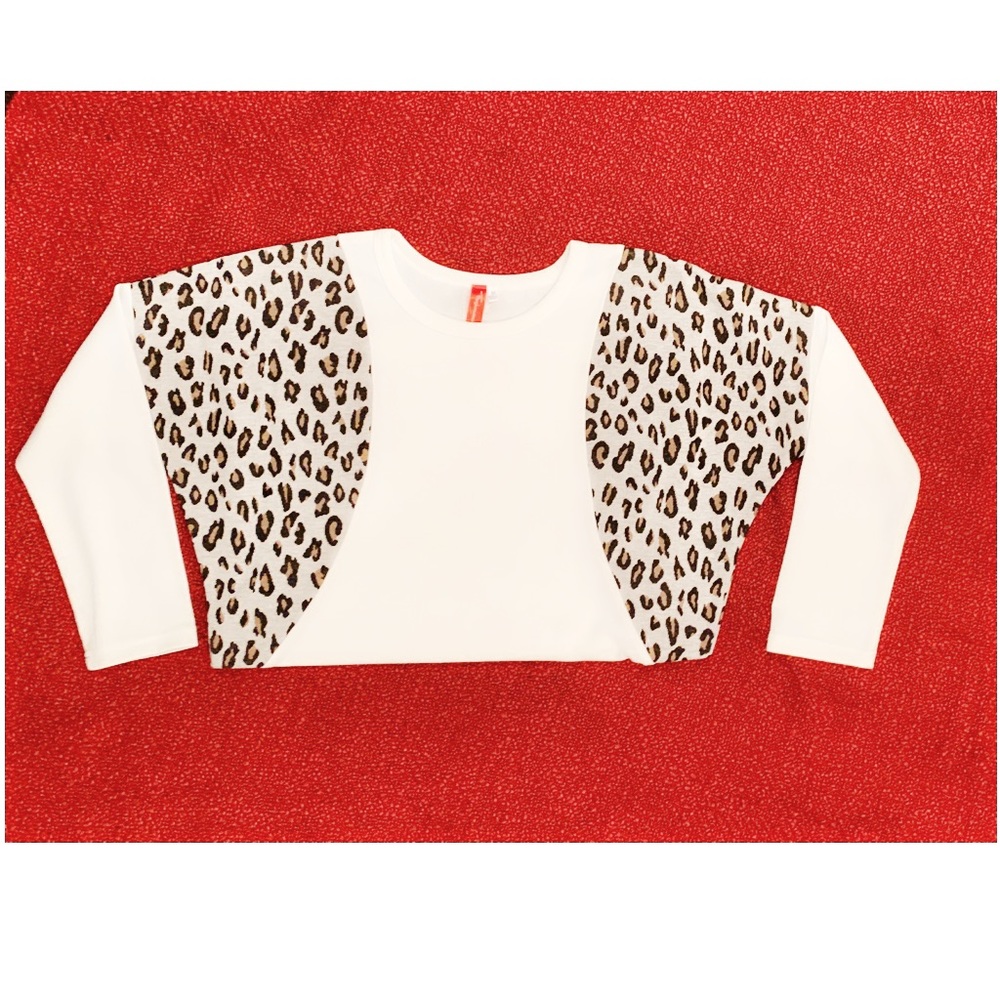 Cheetah blocked long sweater